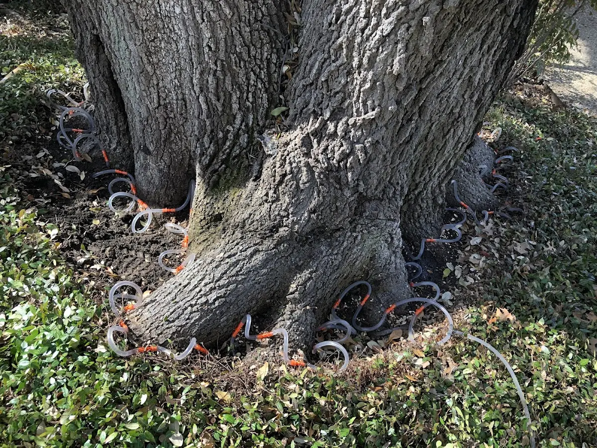 Detailed Shrub and Hedge Trimming job site in Ottine
