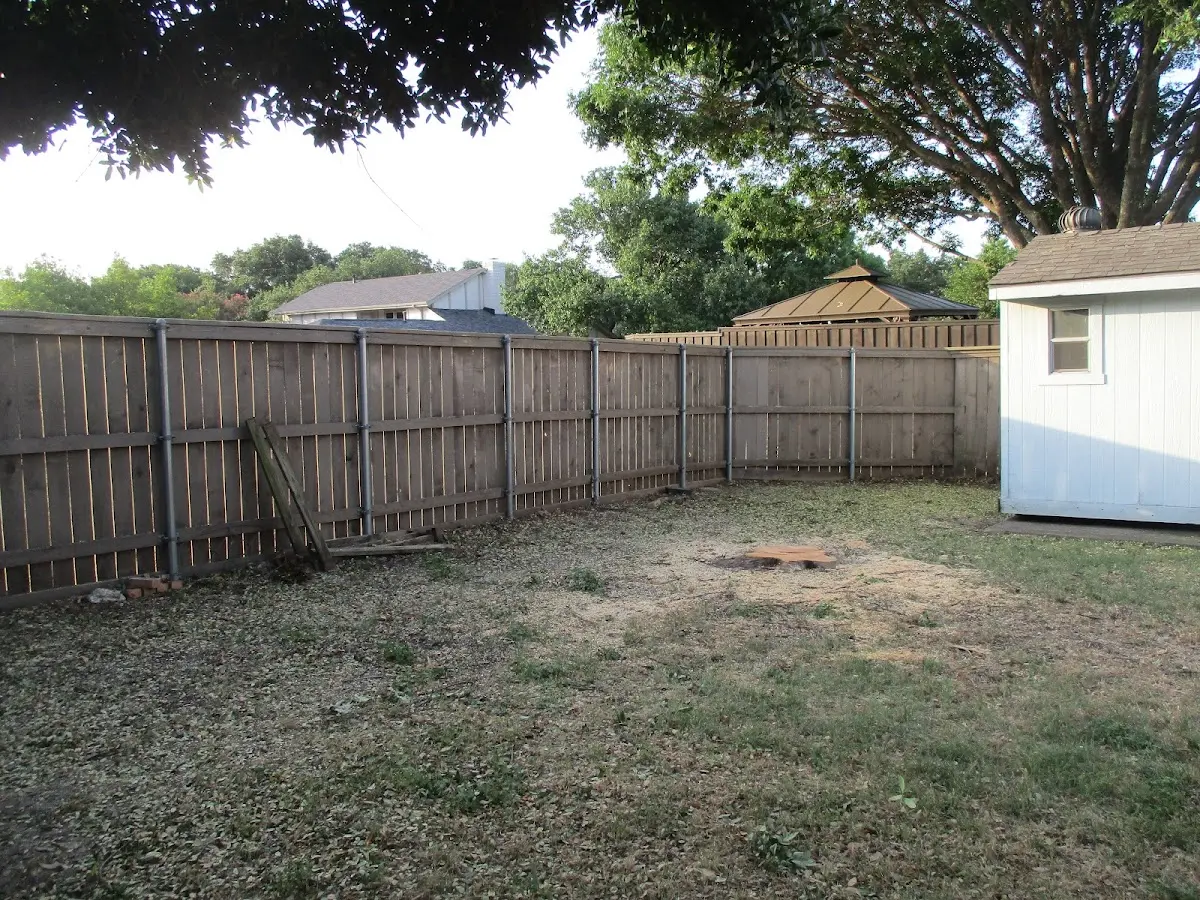 Cleared yard after professional tree removal in Ottine